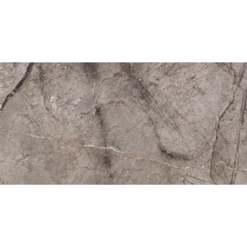 Plăci de porțelan "Rainfors" gri mat 60x120cm